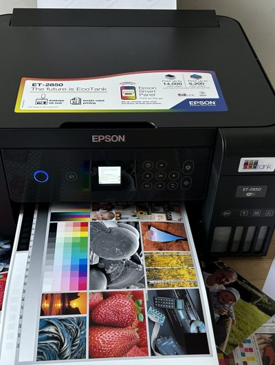 9kpy72kdkpwkszcyn8fbta